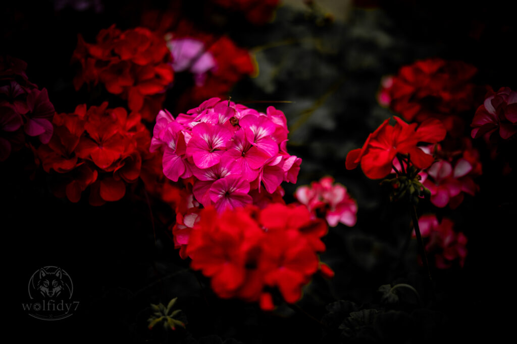 to insta watermark 11