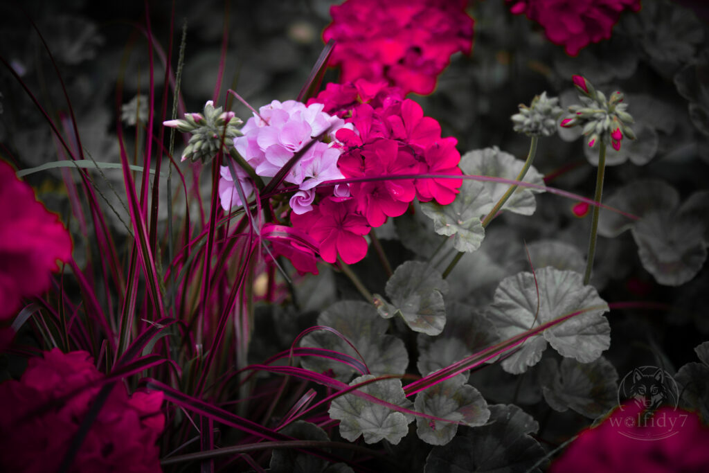 to insta watermark 12